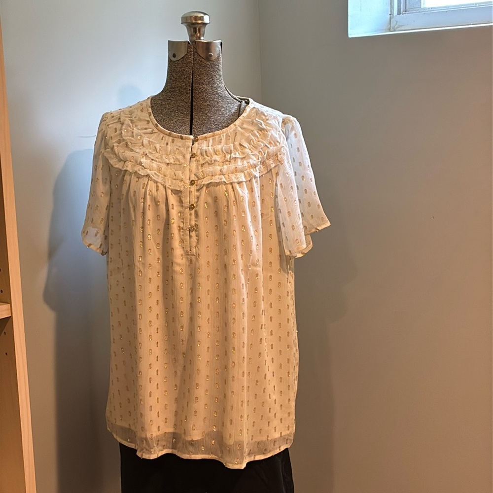 Loft shimmer blouse